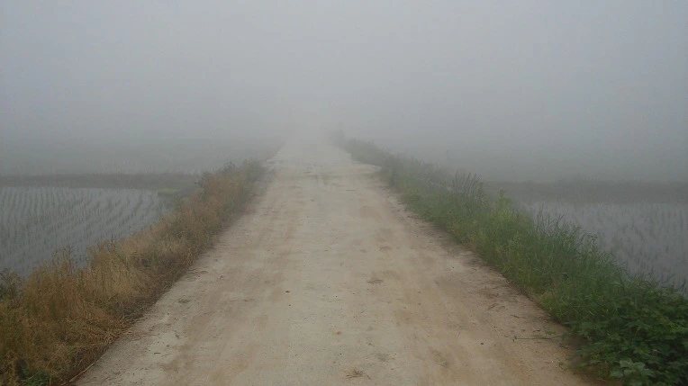 255A30335747BA1E345EA8