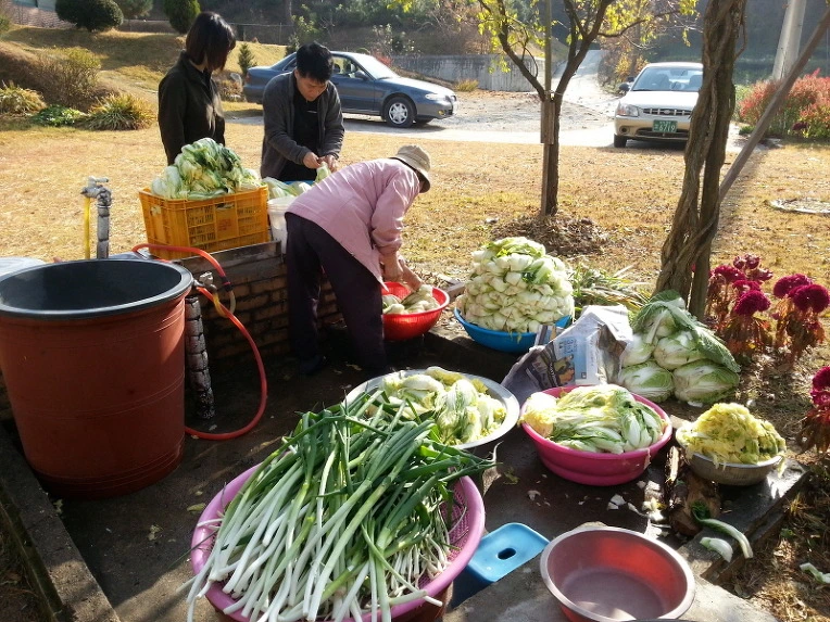 266E9136544D75BF02A330