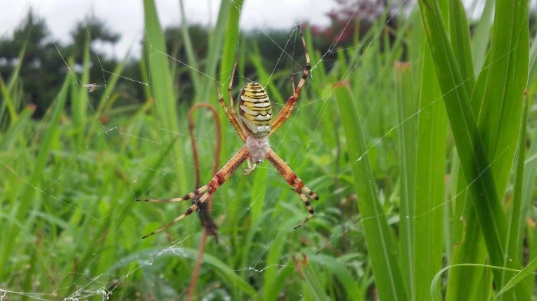 2536A14F577B398528A809