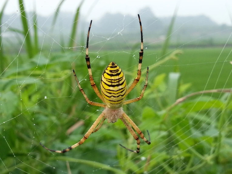 274F933B563AB2801F0037