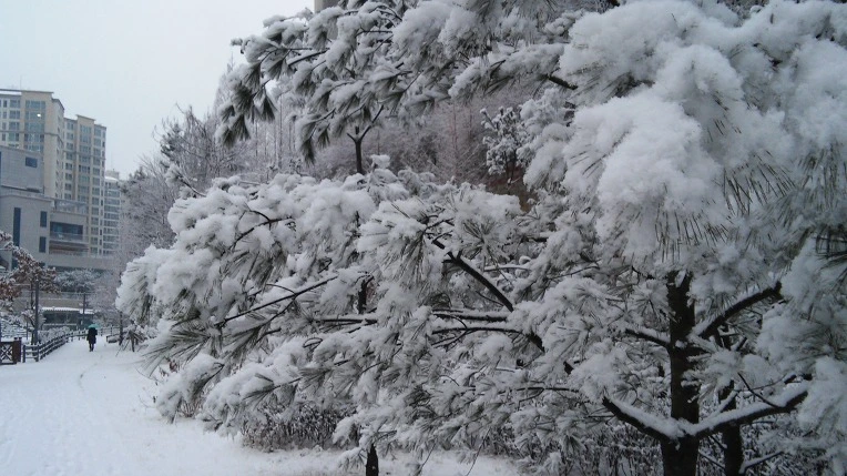 275F0B335878ACA71FED9C