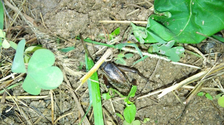 2153D54B57D21A710DAC58