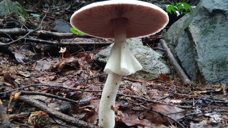 99208B3359961BAC273068