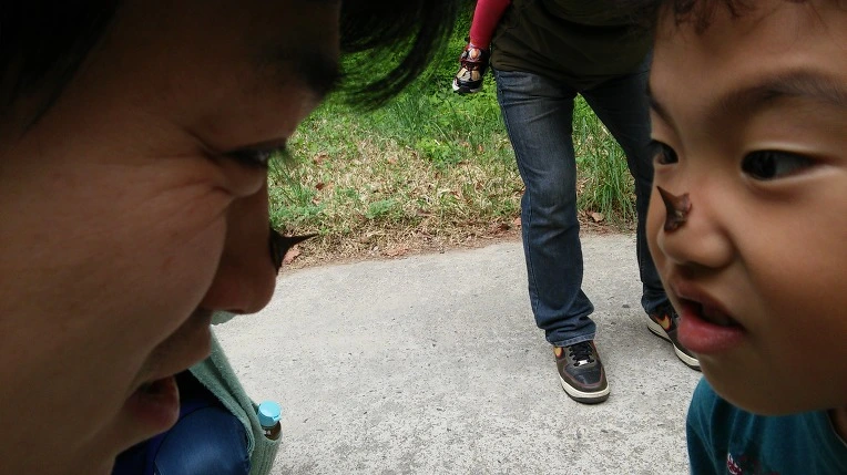 26308D41565285210EB71F