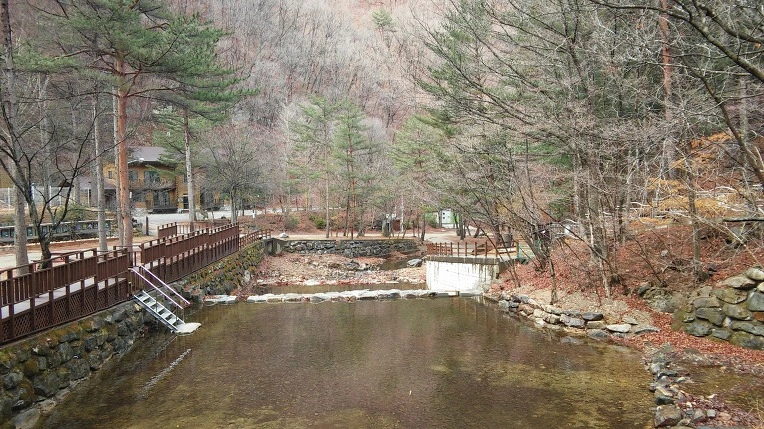 252C444058D7558F14DA7B