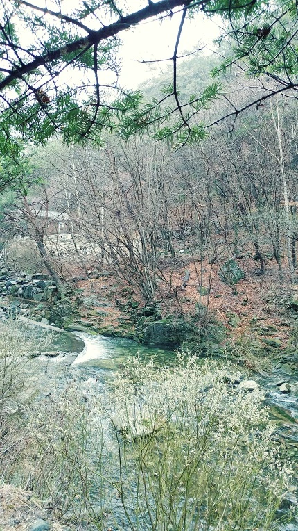 992781365E7D5C992E30F2