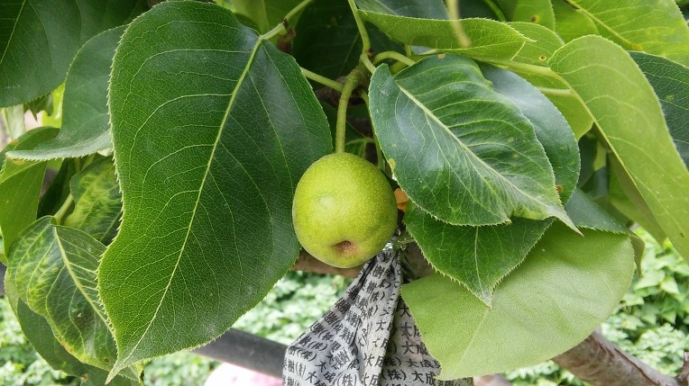 2729FF3F5757B5070EC500