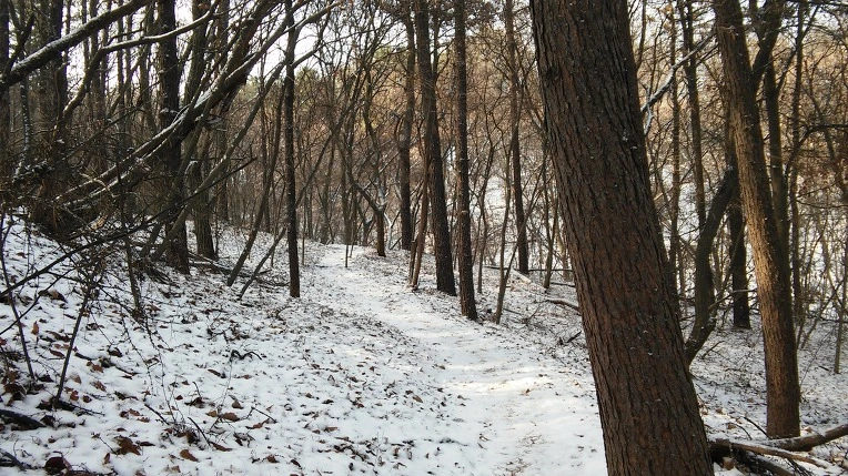 25305B485878B020388BD6