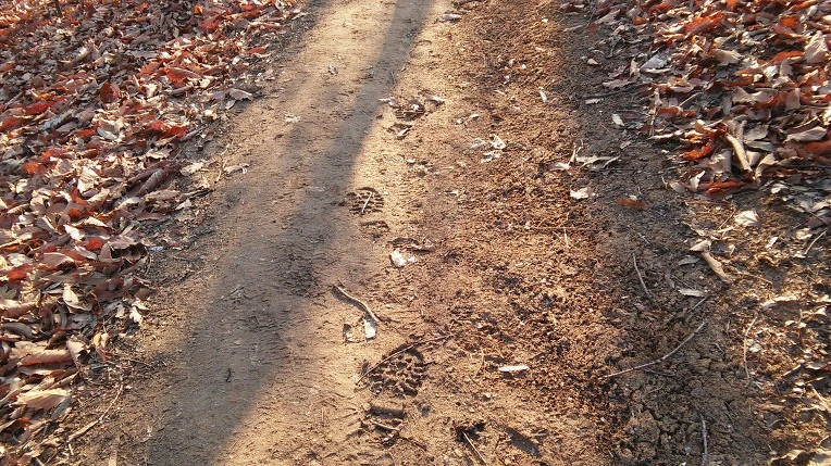 2137054C58C1E32917E86B