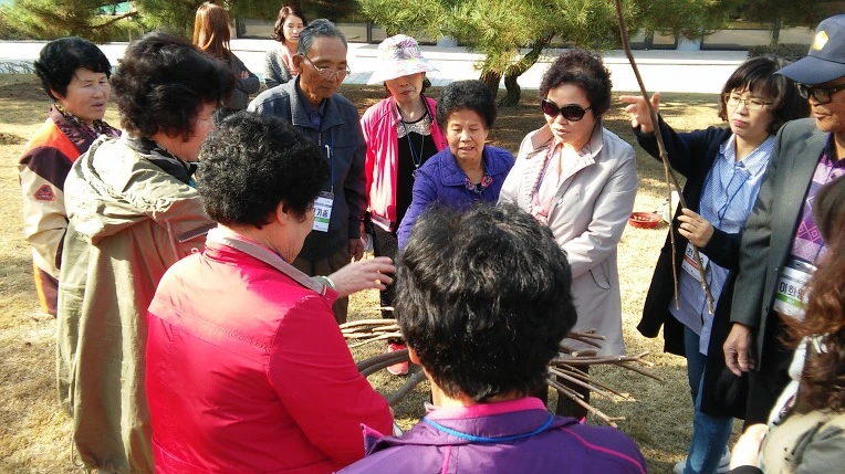 216DCC4E56FE1A1D1FCFF1