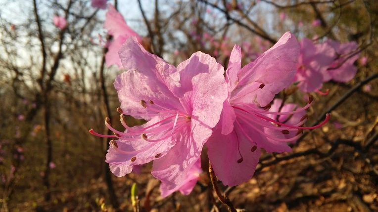 214CEB505703669A26F2EC