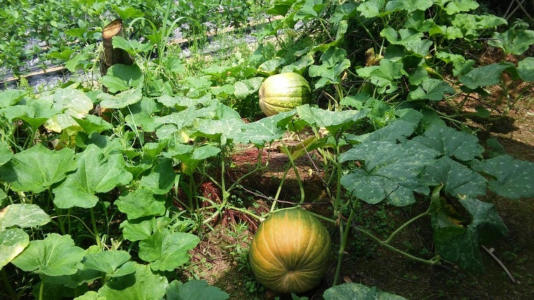 231F883F5622BFEB0E37A2