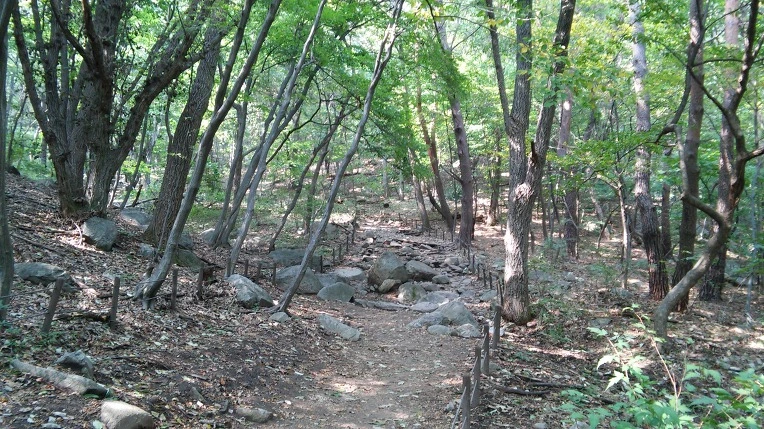 2513563D560FBC082EC60B