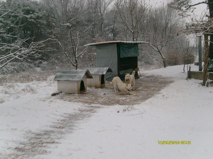 253A1447547F907C1F2EEB