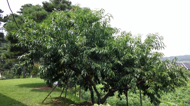 2419C73F5622BFEE10014A