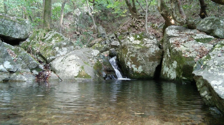 217E6445560FBCEA264E5A