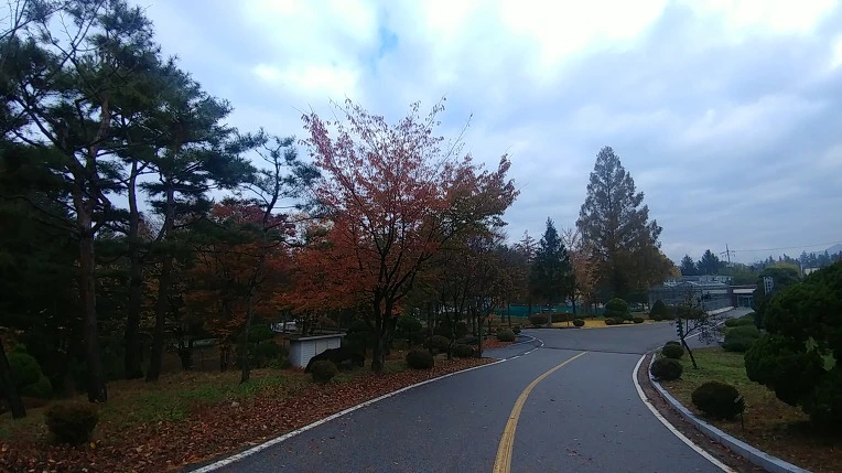 99BA38475BD65E82021F07