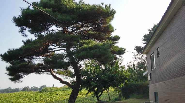 9987D13359A7DC601BE74E