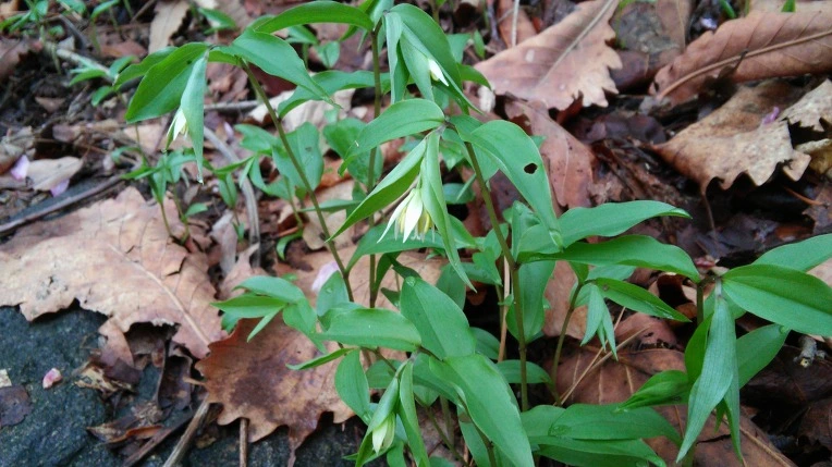 2341F147571ACEEF1C918D