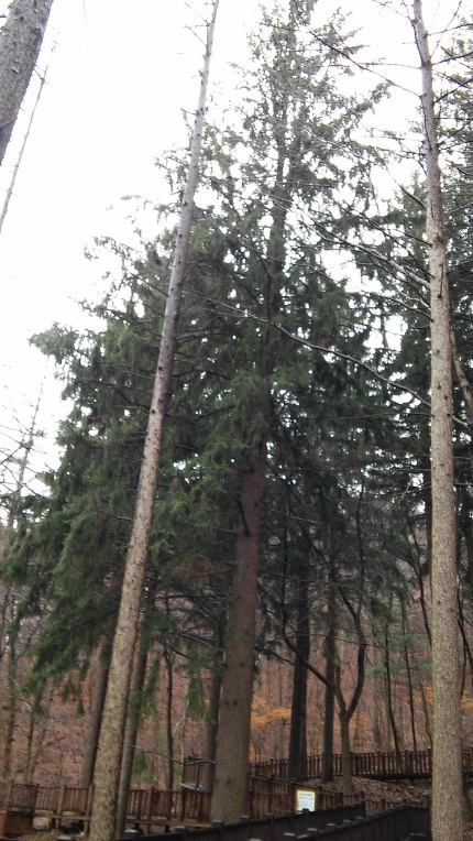 2752743556EB9B8B1B8D4C