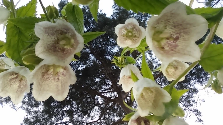 2719643D5622BDD819D092