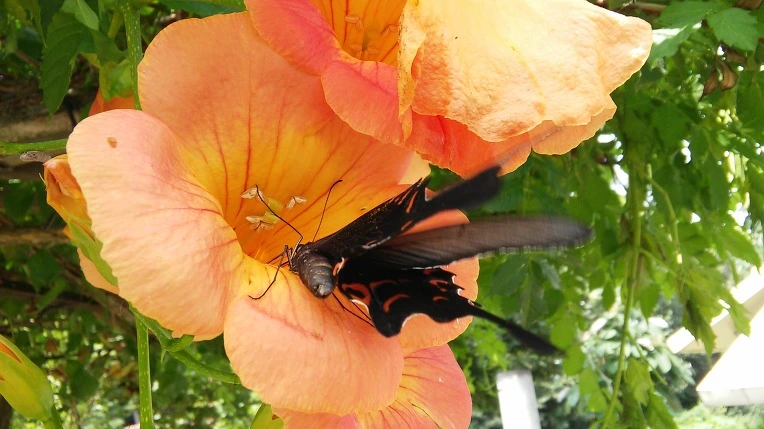 2269F24257BCEAC9316AD0