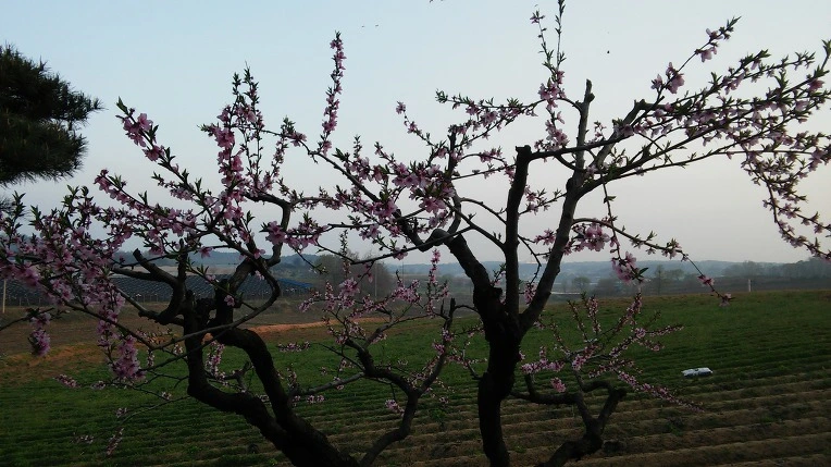 21435B3757155842110E38