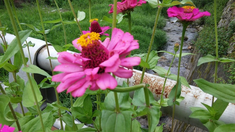 99177833599E25C70E0584