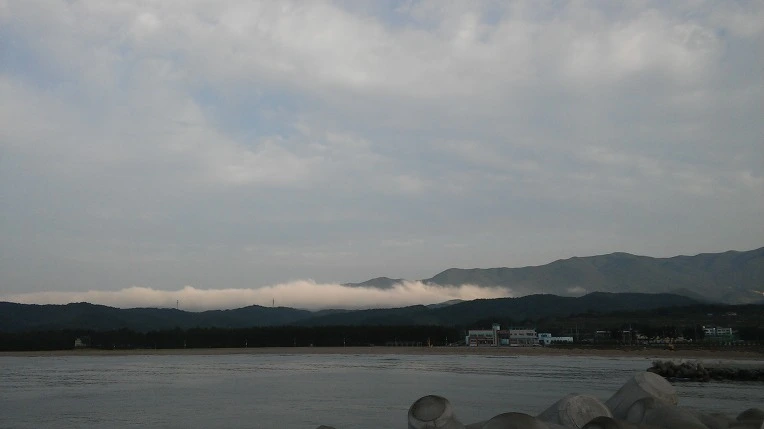 232EA6405949987B04C855