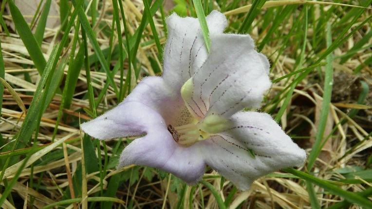 2579EA4759155DD11E3C84