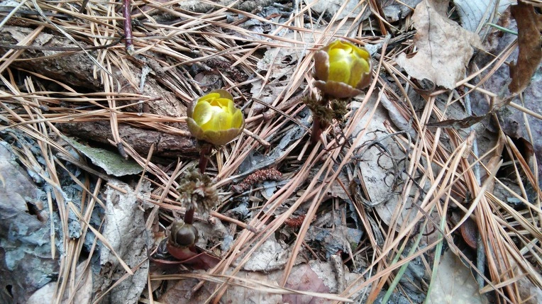 262A284456D10847307A82