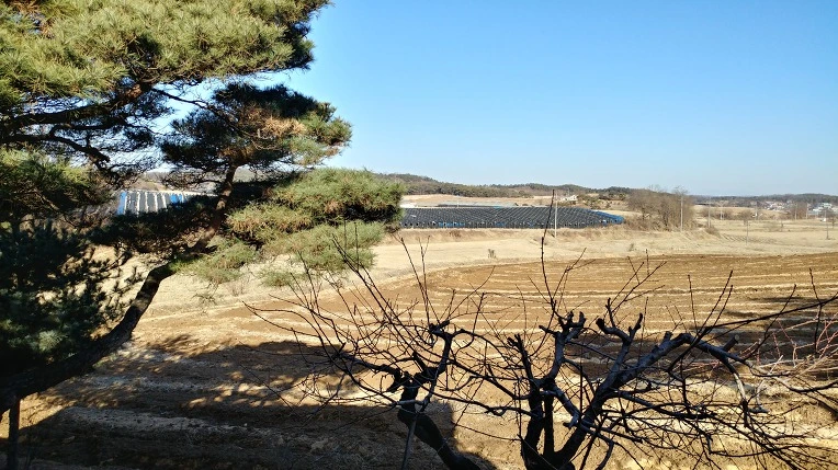 9954BE3E5A8AA298110D37