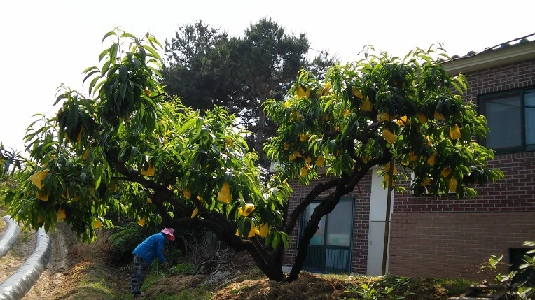 2510E341574E51580480B7