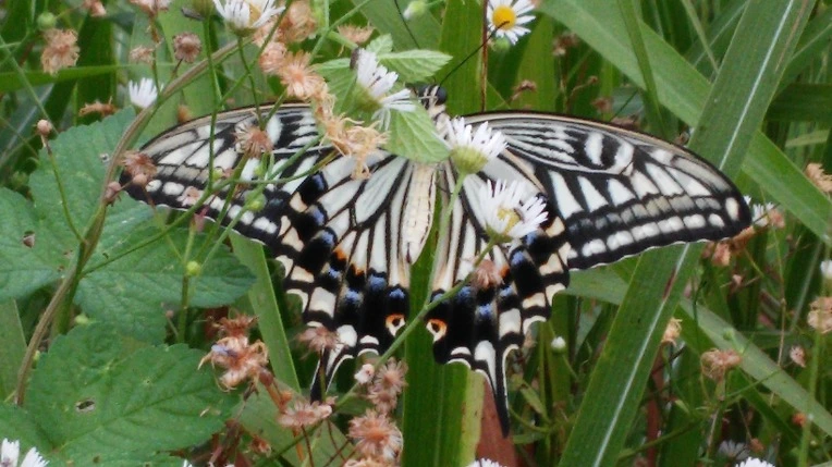 2345004257AA8BDF351893