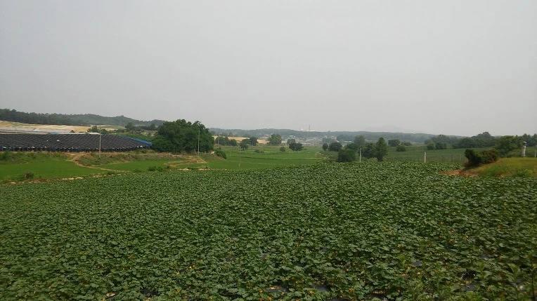 221C273D5768A7932DAD5D