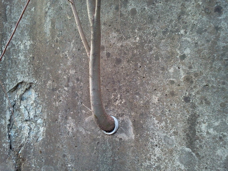 24748444541BBFF028FBBC