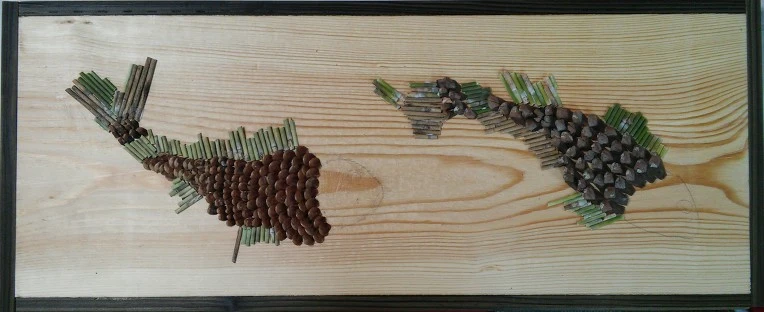 270F3C49591FF46B31AC9A