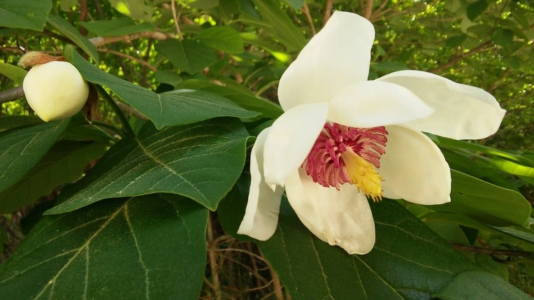 27248F4D591FF57A347FC9