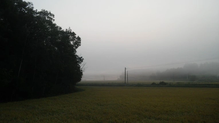 2307073857E468280215ED