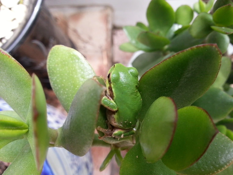 233BFF4C56B024E8156CAD