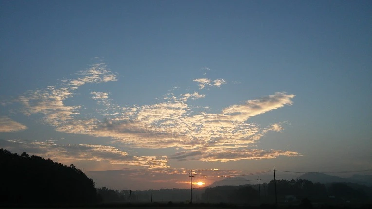 2375A33457C4C160205F65