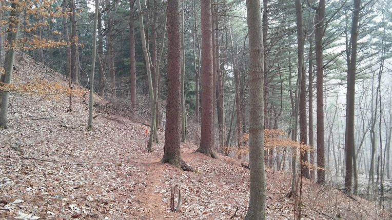 261B554156EDE526335322