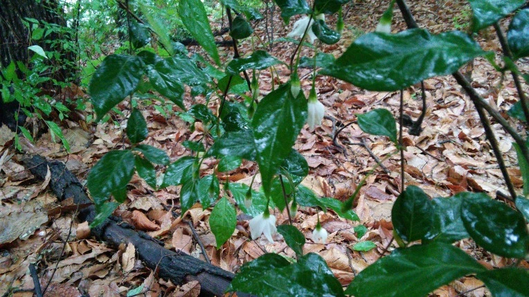 2676404A5731183D2A1C04