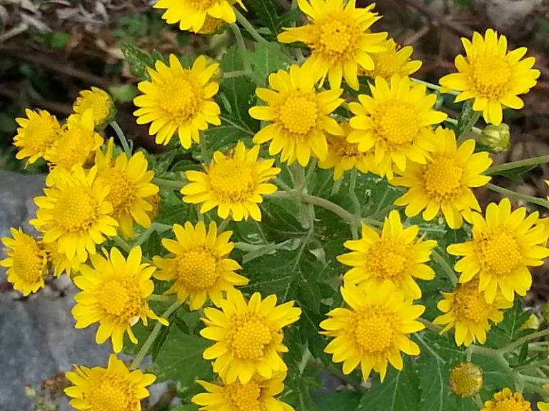 255CF84B543280DA136C6E