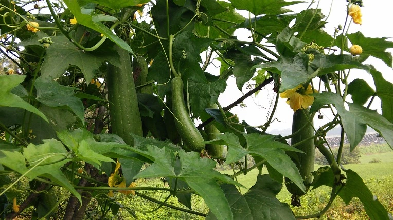 263EBC4B57A5240021DD3A