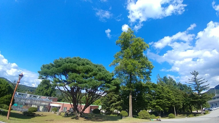 994187345C27589F27C4FC