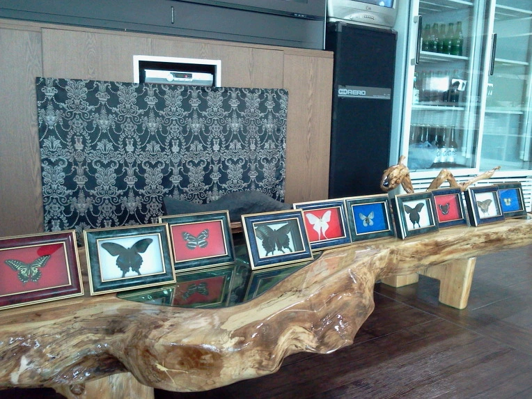 0221E2495147FD38315AA1