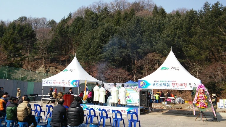 215C833B56E4ED08264435