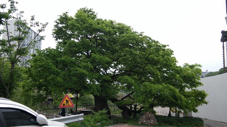 26407E49572561C40B112D