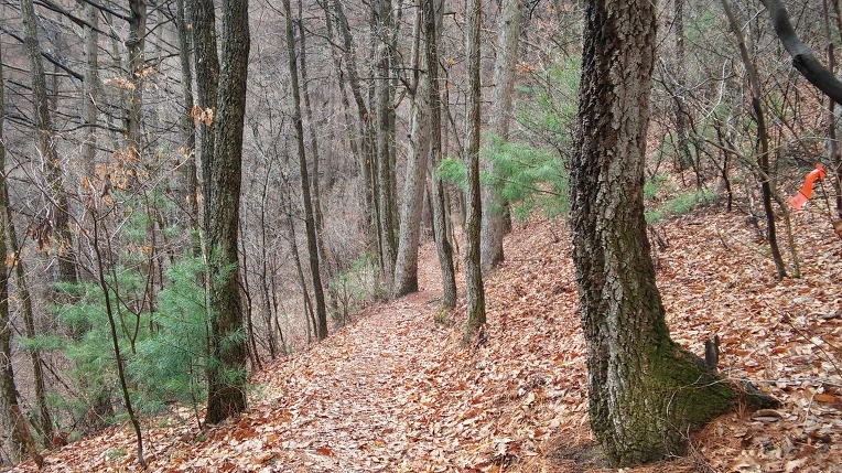 2360223356EB9CAB10C186